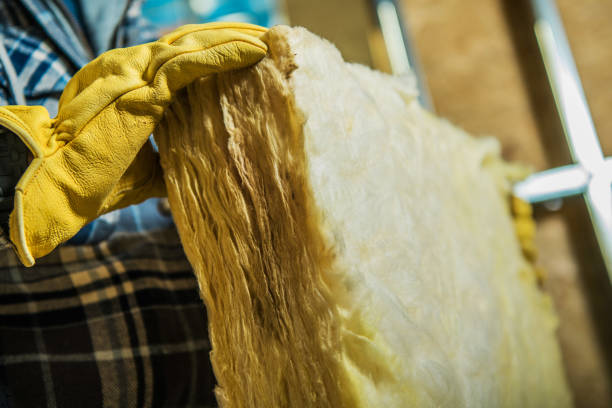 Best Residential Insulation in Hauula, HI
