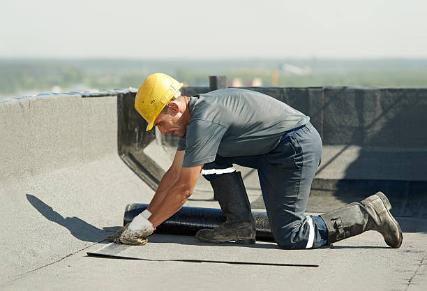 Best Cellulose Insulation in Hauula, HI