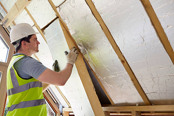 Best Eco-Friendly Insulation in Hauula, HI
